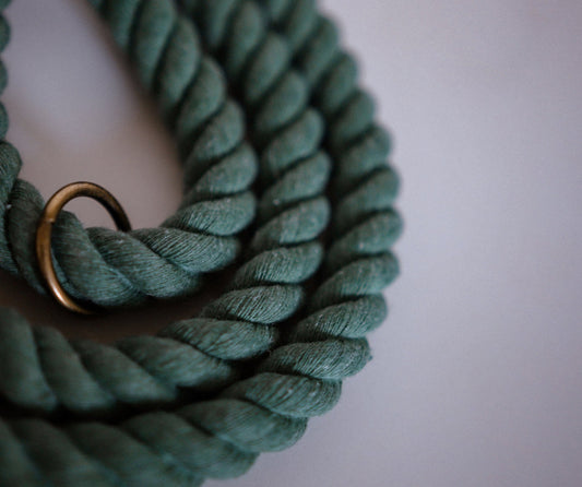 The Rope Traffic Handle